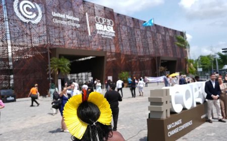 COP30: Inheemse volken zoeken hun stem te midden van uitdagingen