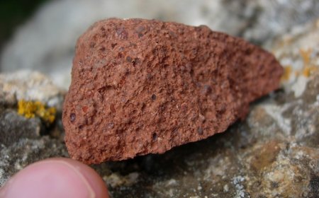 UITVERKOOP ONDER GEEN BEDING