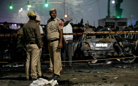 Zeker 9 doden door auto-explosie bij Rode Fort in New Delhi