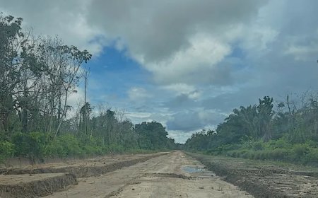 LVV heeft onrechtmatig grote lappen grond uitgegeven tussen Nw.Nickerie en Apoera