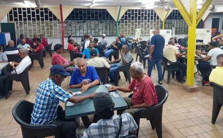 Palm Boys en Kolibrie met volle winst naar kwartfinale