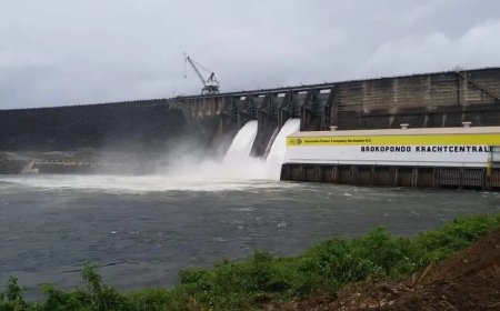 Energie-expert: Suriname zit niet zonder stroom — het management wel zonder regie