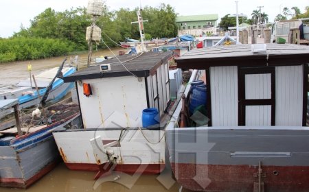 Vissers vrezen exportstop: illegale praktijken brengen hele sector in gevaar