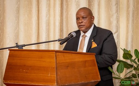 Nieuwe ambassadeur krijgt opdracht om banden Suriname-Nederland te versterken