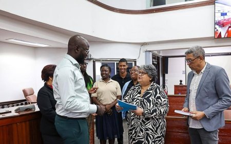 Commissie Mensenrechten DNA bespreekt voorgestelde wijzigingen in het Burgerlijk Wetboek