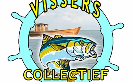 Visserijsector onder zware druk door illegale praktijken en hoge kosten