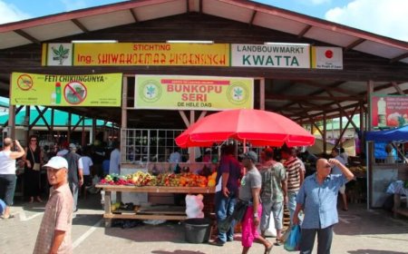 BIS: Japanse donatie aan Kwatta-marktproject correct besteed