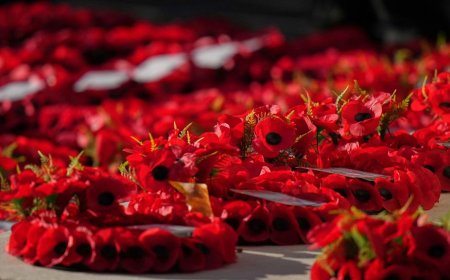 Valse admiraal opgepakt na kranslegging bij herdenking in Wales