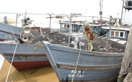 Sober toekomstbeeld voor vissers: zorgen groeien over de sector