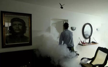 Cuba kampt met golf van door muggen overgebrachte ziekten