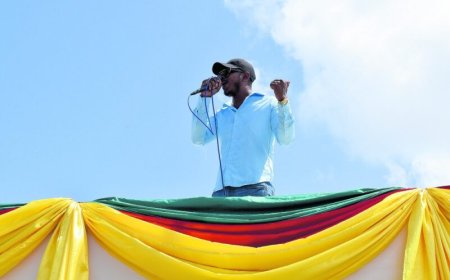 Uitspraak hoger beroep zaak activist Stephano ‘Pakittow’ Biervliet volgend jaar