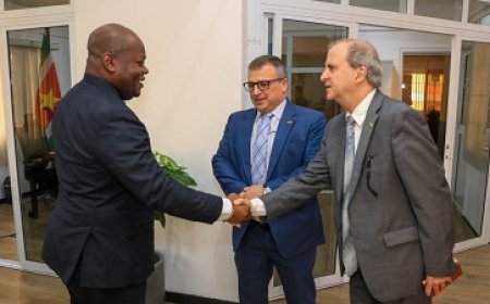 Bee ontvangt Braziliaanse ambassadeur Baumbach voor beleefdheidsbezoek