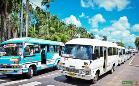TCT start herregistratie particuliere lijnbussen op meer dan zestig routes