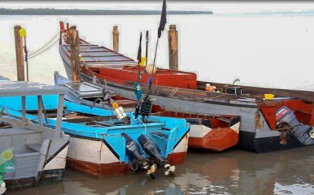 Surinaamse visserijsector onder internationale druk, strijd tegen illegaliteit noodzakelijk