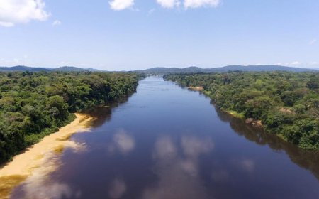 SURINAME KAN LEREN VAN GUYANA’S KOOLSTOFKREDIETSTRATEGIE