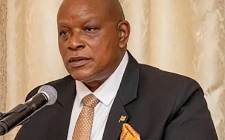 Ambassadeur Ricardo Panka: ‘Geen gewijzigd, maar hernieuwd beleid richting Nederland’