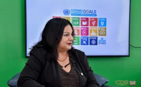 Del Castilho: ‘Onzorgvuldigheid regering schaadt vertrouwen’