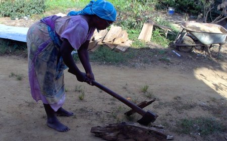 SBB rondt dataverzameling brandhoutonderzoek af met veldwerk in Sipaliwini