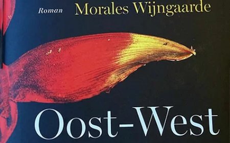Roman Oost-West: Liefde in tijden van dictatuur