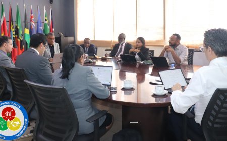 EZ en IMF bespreken economische voortgang: digitalisering vergunningen centraal