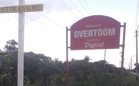 Plantagebestuur Overtoom roept nazaten op voor grote schoonmaakactie