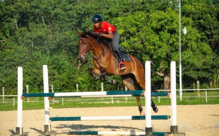 Paardenspringen 2025: Internationale deelname groeit