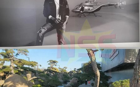 Een leven vol natuur en fotografie