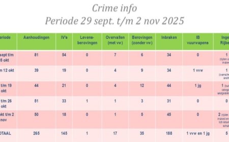 Politie noteert 188 inbraken en 52 geweldsdelicten in vijf weken