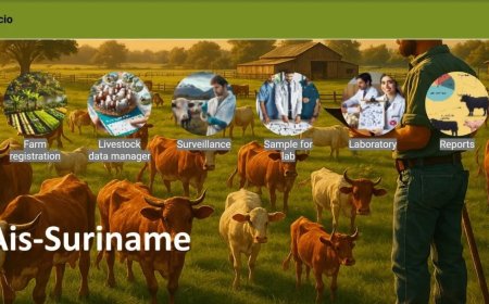 Nieuw systeem tilt diergezondheid naar hoger niveau