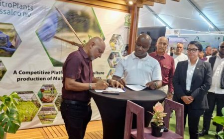 InVitroPlants Grassalco tekent intentieverklaring met Guyanees landbouwbedrijf