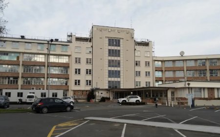 Opmerkelijk – Medewerkster ziekenhuis Nieuw-Zeeland deelt spacecake uit tijdens koffiepauze: 