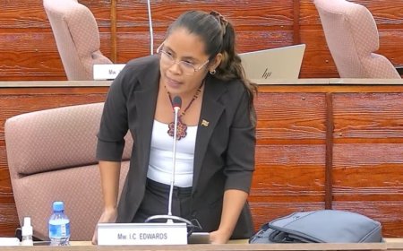 Edwards slaat alarm over uitgifte eilandjes in Corantijnrivier