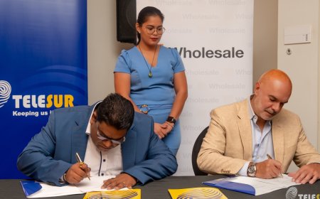 Telesur verlengt strategisch partnerschap met Orange Wholesale