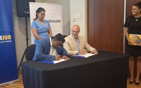 Telesur breidt internetcapaciteit uit