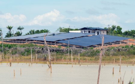 Sarakreek krijgt 24-uurs stroom: 492 huishoudens aangesloten op hybride zonne-energiecentrale