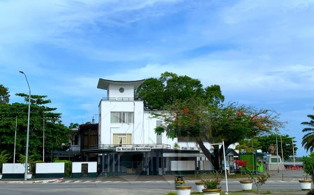 Parlement luidt noodklok over vrijwel verlamd Constitutioneel Hof