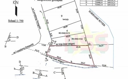 Somoharjdo over intrekken perceel: De steiger is van het volk