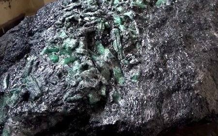 Opmerkelijk – Smaragd van 300 kilo ontdekt in presidentieel paleis van Madagaskar