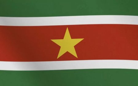 Vijftig jaar Suriname, vijfpuntige ster in vlag, vijf letters NATIO