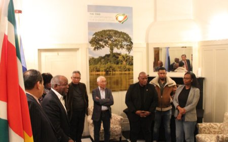 PANKA’S EIGEN SPELLETJE