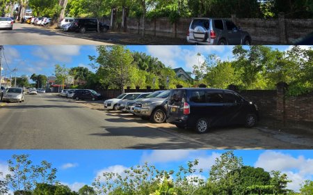 ORANJEBOS: CULTUREEL BARBARISME TEN TOP