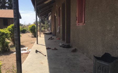 50 van de ruim 300 in Nigeria ontvoerde schoolkinderen ontsnapt