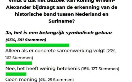 De stem van het moment  