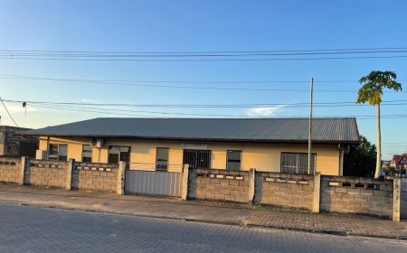 Ressortraadslid dat maandenlang wegblijft bedreigt voorzitter zodra vergoeding stopt