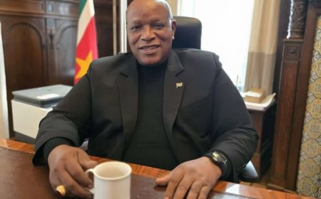 Ambassadeur Panka biedt woensdag geloofsbrieven aan koning Willem-Alexander aan