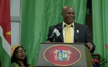 Brunswijk: “Onze reis was niet altijd gemakkelijk”