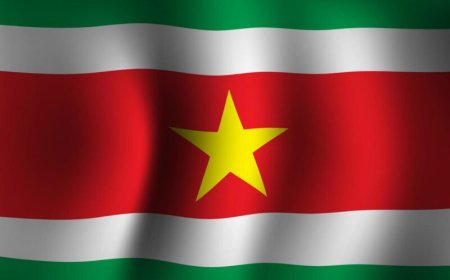 Chaotische toestanden rond de keuze van de vlag van Suriname