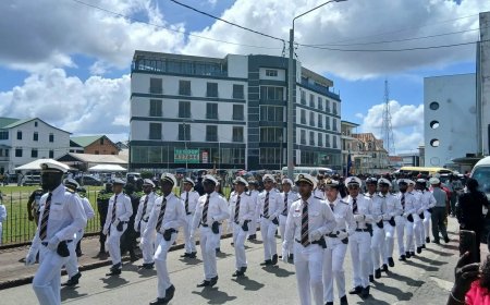 De mars door de stad