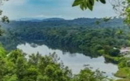 De strijd om het behoud van tradities tegen het kapitalisme 