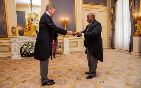 Ambassadeur Panka presenteert geloofsbrieven aan koning Willem-Alexander